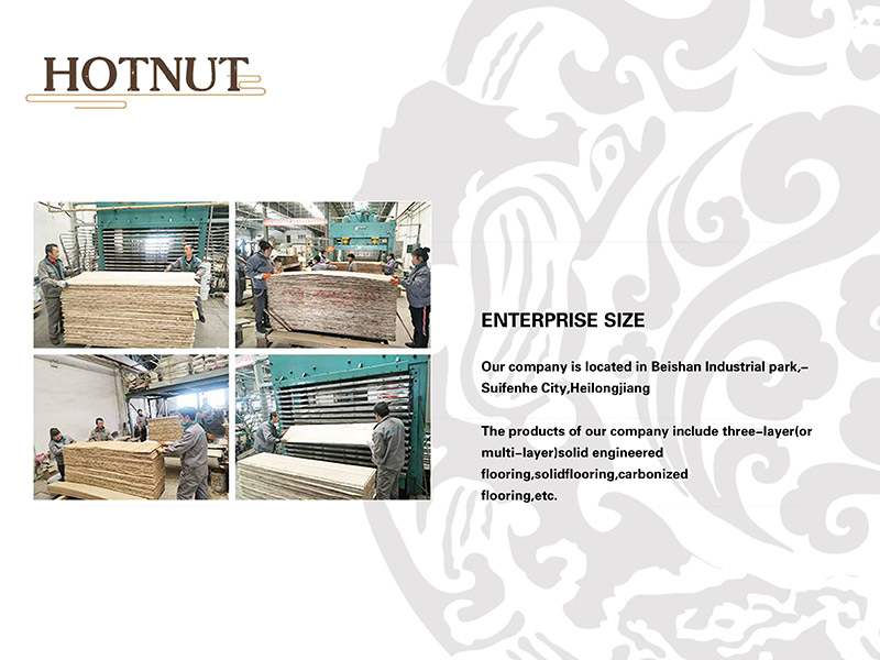 Company introduction(图2)